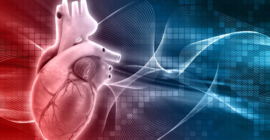 GlyCardial Diagnostics S.L. launches a new web page